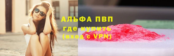 СК Краснослободск
