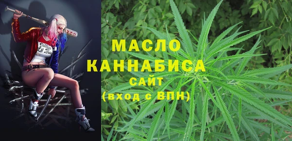 СК Краснослободск