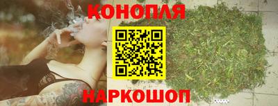 гидра Нарткала