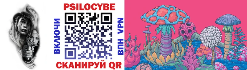 Псилоцибиновые грибы Psilocybe  Купить  Камень-на-Оби 