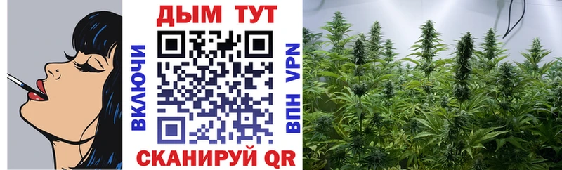 Каннабис OG Kush  Купить  Камень-на-Оби 